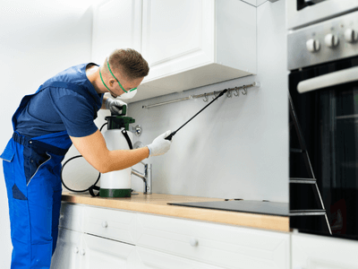 About Spider Extermination Uptown Phoenix - spider extermination experts in Uptown Phoenix