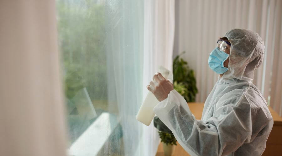 Why choose Spider Extermination Uptown Phoenix for spider extermination in Uptown Phoenix